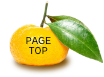 pagetop