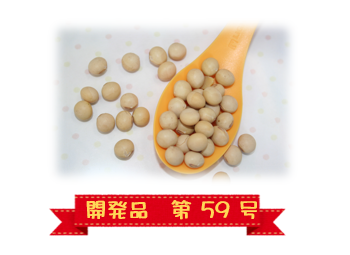 愛媛県産乾燥大豆