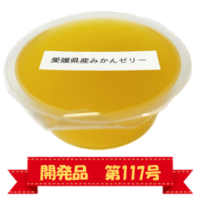 愛媛県産みかんゼリー