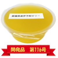 愛媛県産いよかんゼリー